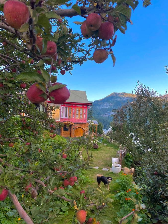 Meena Bagh Ratnari- An Apple Orchard Bungalow Bagi Exterior foto